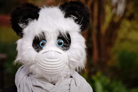 Casino Eight Storm Assistance